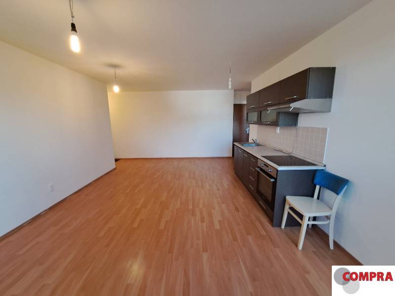 Sale One bedroom apartment, One bedroom apartment, Fedinova, Bratislav