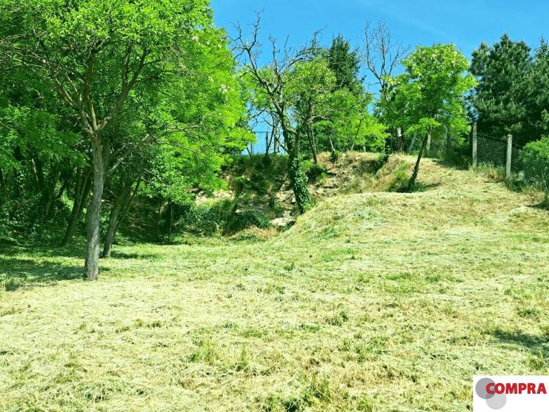 Sale Land – for living, Land – for living, Kollárova, Senec, Slovakia