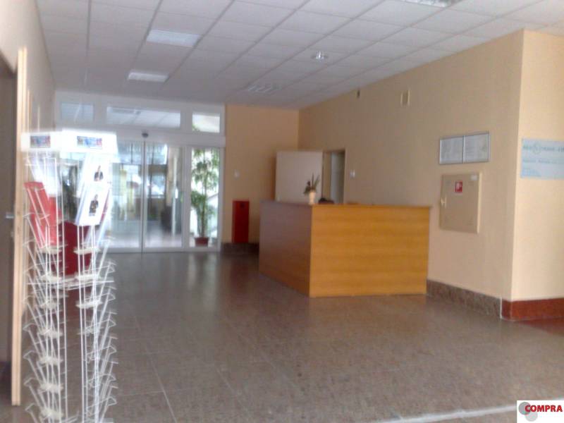 Rent Storehouses and Workshops, Storehouses and Workshops, Pluhová, Br